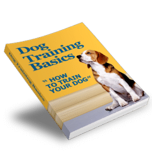 Dog Training Basics -- PDF File