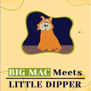 BIG MAC Meets LITTLE DIPPER - Childrens ebook- Fiction - PDF File